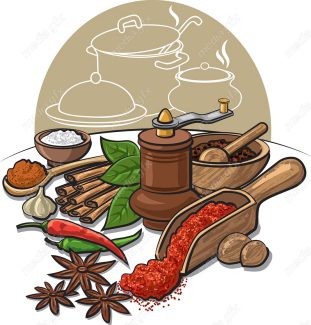 وکتور ادویه جات- فلفل، دارچین، نمک و…  MV001589