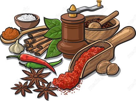 وکتور ادویه جات- فلفل، دارچین، نمک و…  MV001590