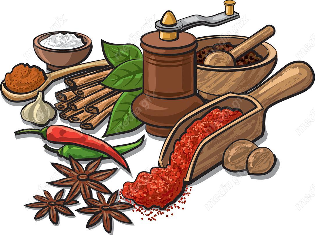 وکتور ادویه جات- فلفل، دارچین، نمک و…  MV001590