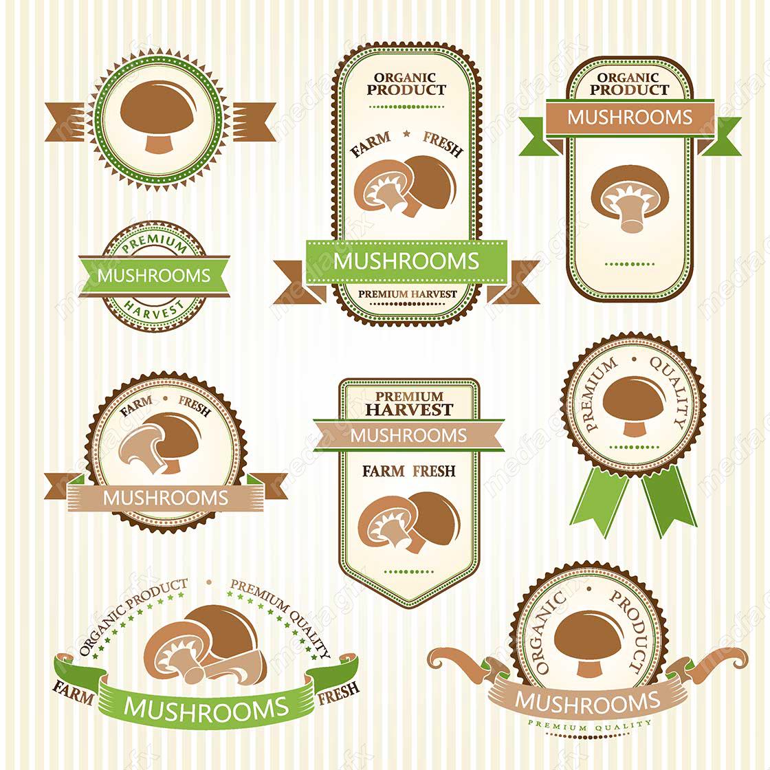 وکتور لیبل سبزیجات MV001628