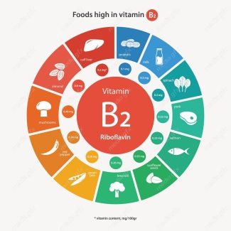 وکتور ایفوگرافیک ویتامین در انواع مواد غذایی MV001656
