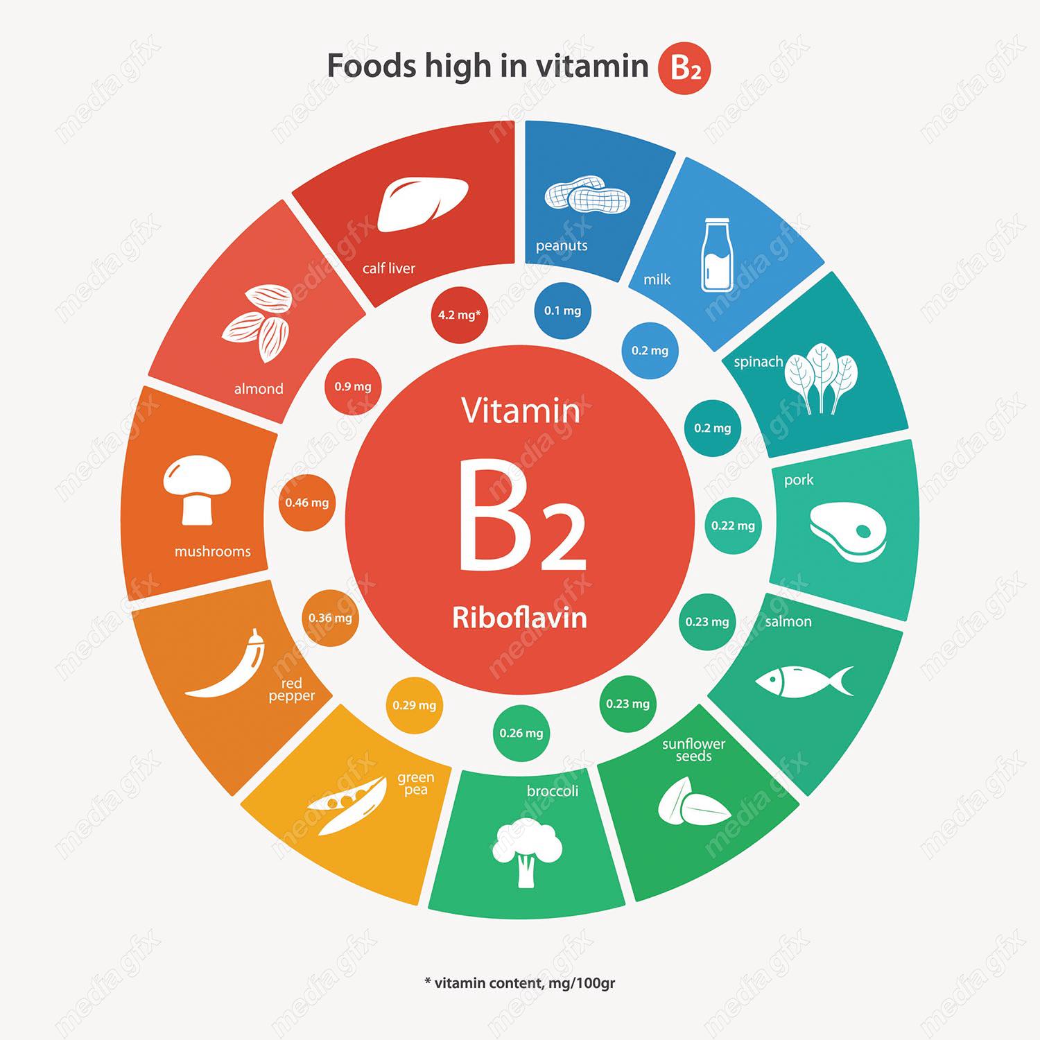 وکتور ایفوگرافیک ویتامین در انواع مواد غذایی MV001656