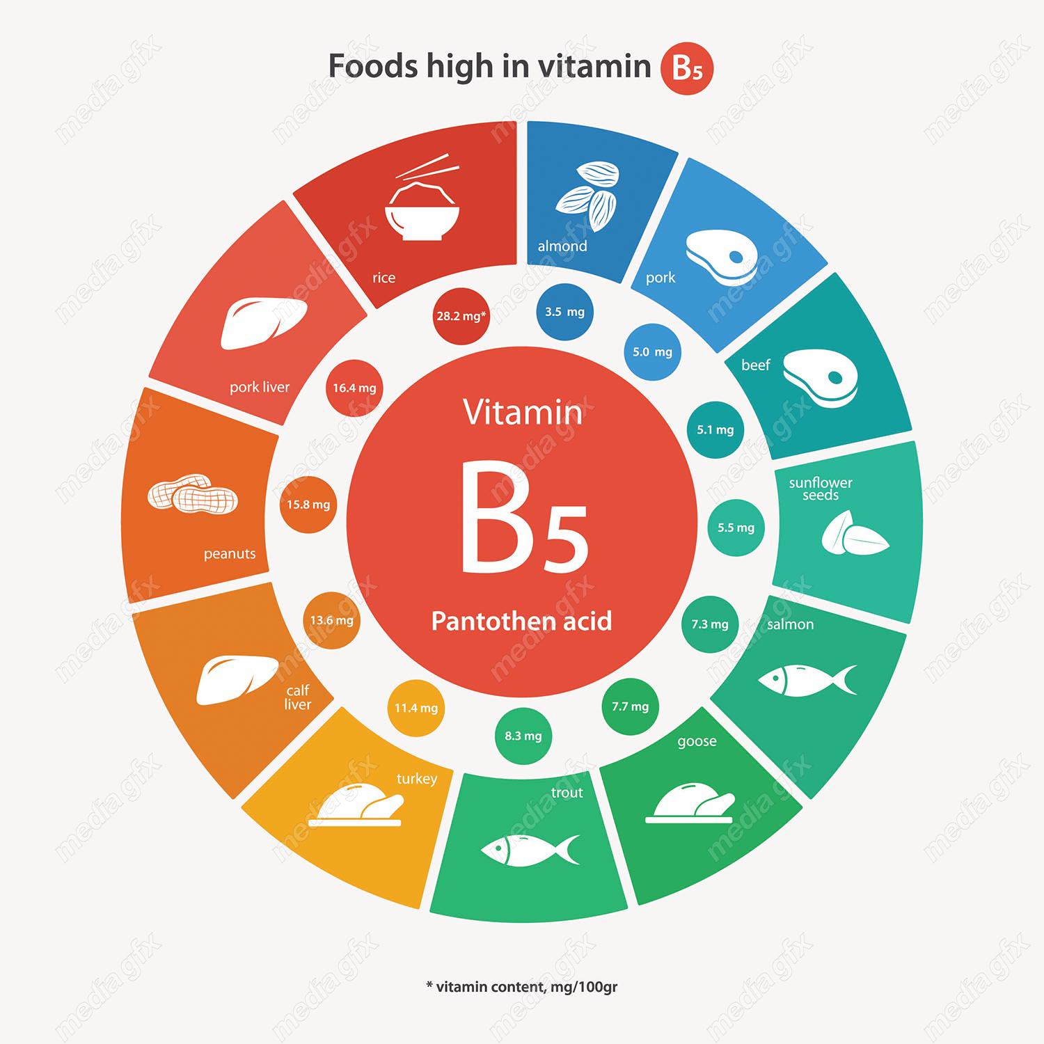 وکتور ایفوگرافیک ویتامین در انواع مواد غذایی MV001658