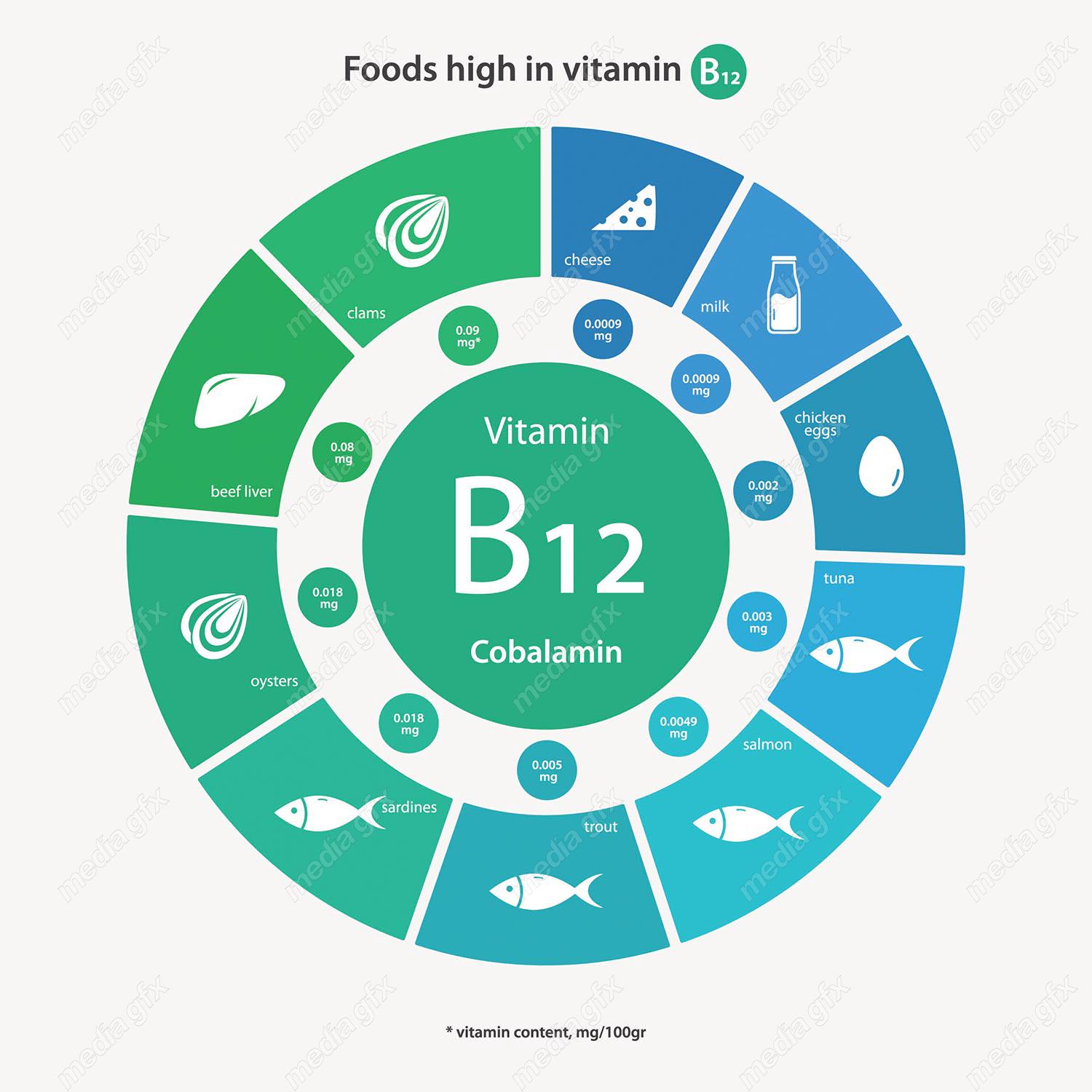 وکتور ایفوگرافیک ویتامین در انواع مواد غذایی MV001662