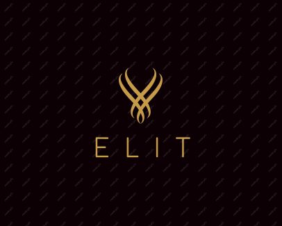 وکتور لوگوی الماس و طلا و جواهر MV001678