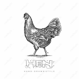 وکتور خطی مرغ MV000568