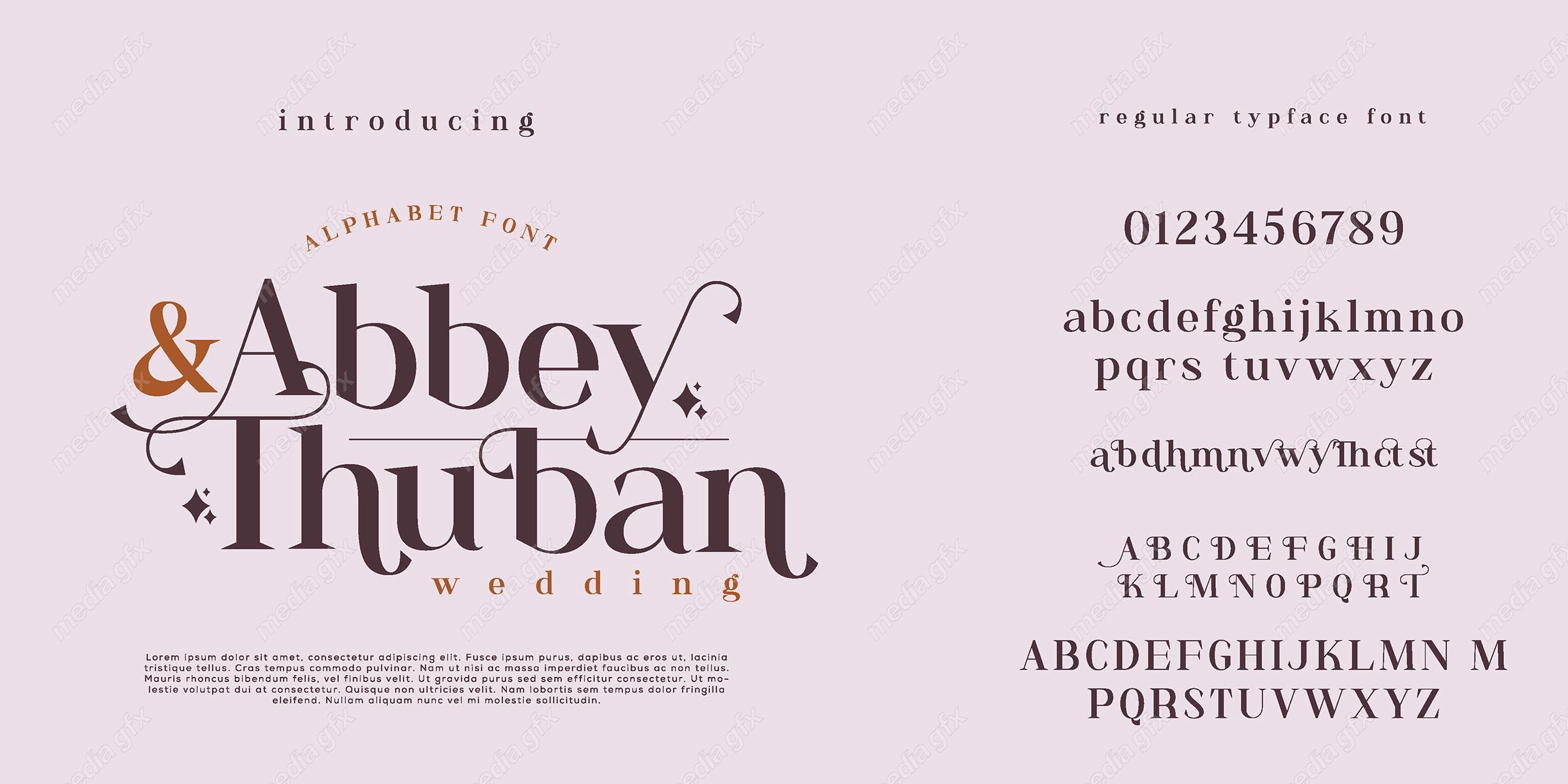 تایپ فیس  فونت سریف Abbey & Thuban برای ایلاستریتور MV000583