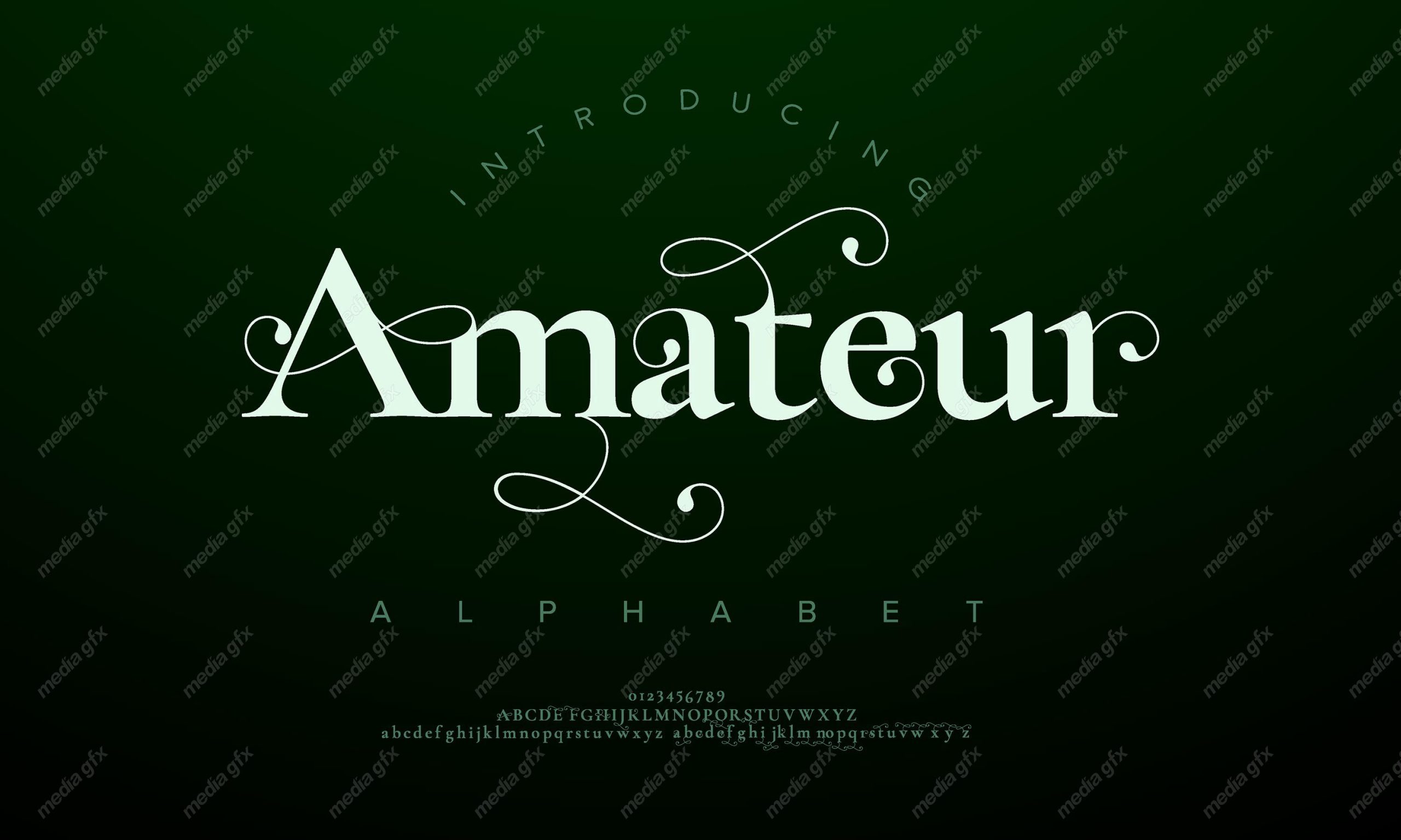 تایپ فیس  فونت سریف Amateur برای ایلاستریتور MV000586