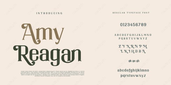 تایپ فیس  فونت سریف Amy Reagan برای ایلاستریتور MV000589