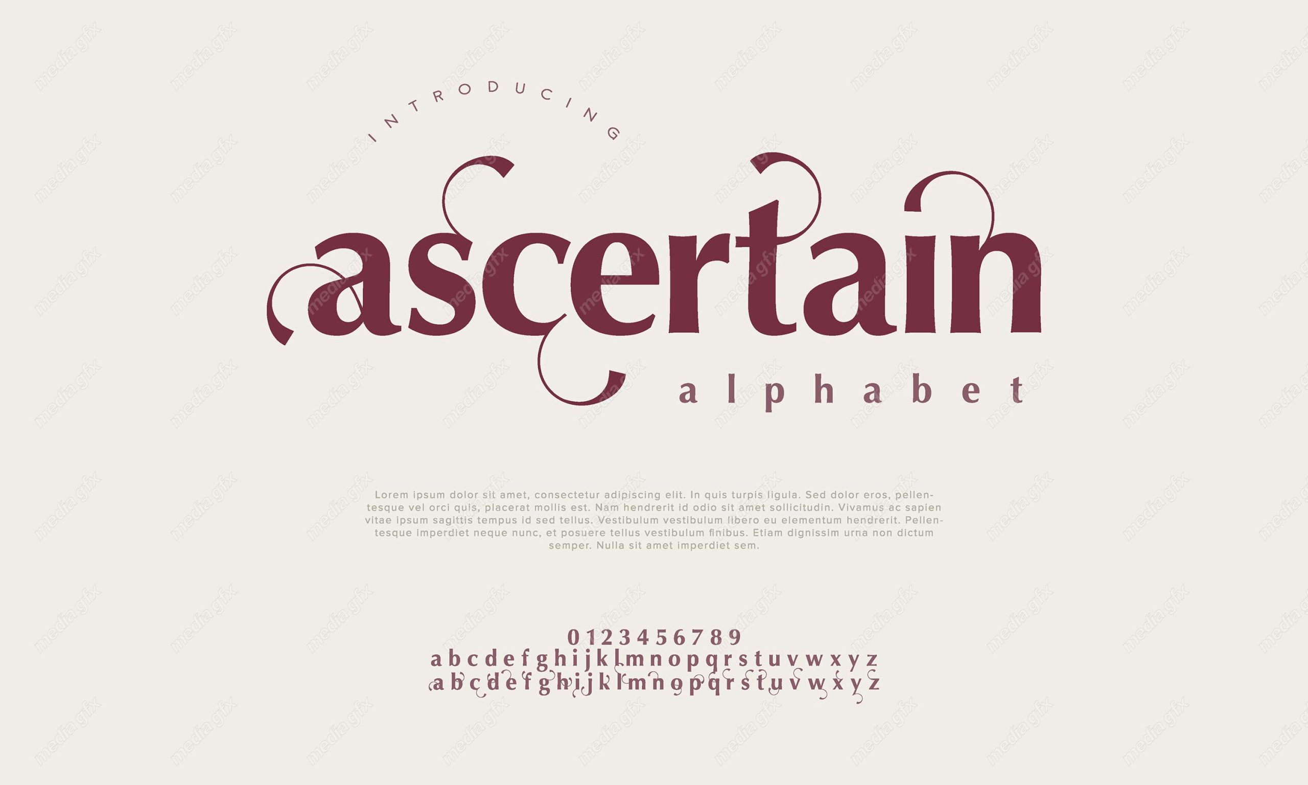 تایپ فیس  فونت سریف Ascertain برای ایلاستریتور MV000592