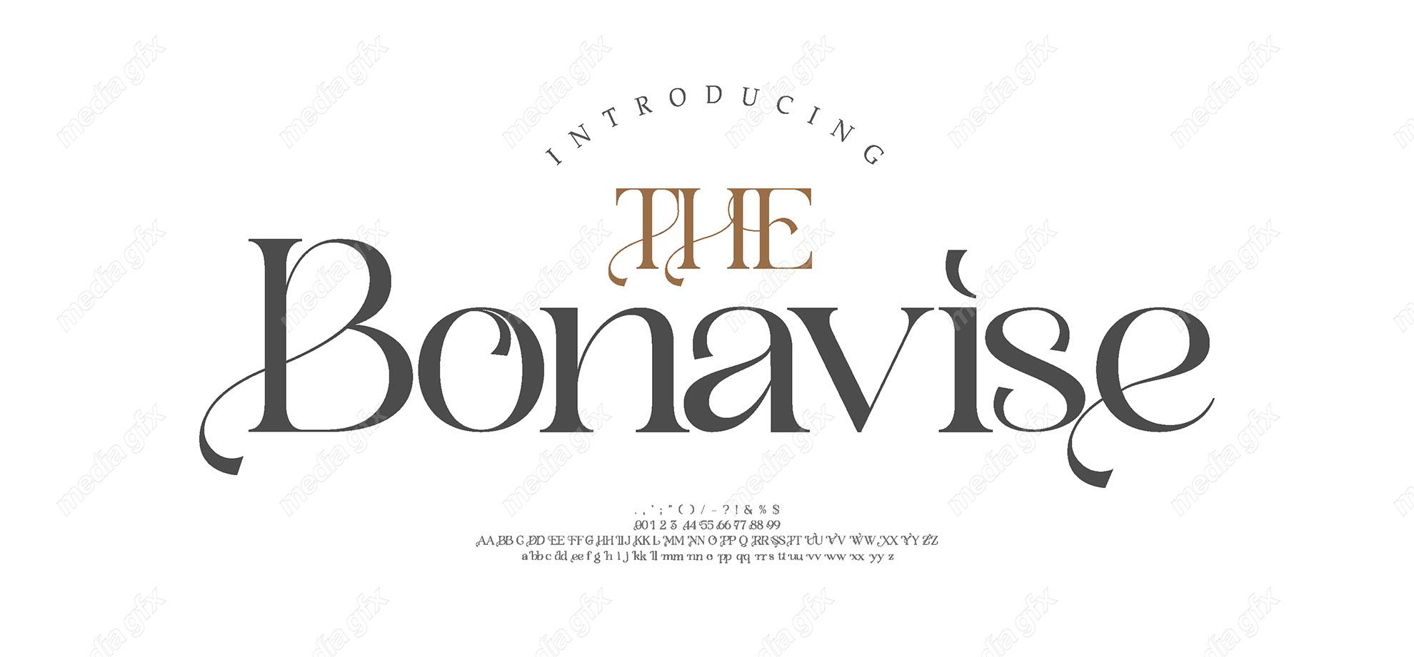 تایپ فیس  فونت سریف Bonavise برای ایلاستریتور MV000601