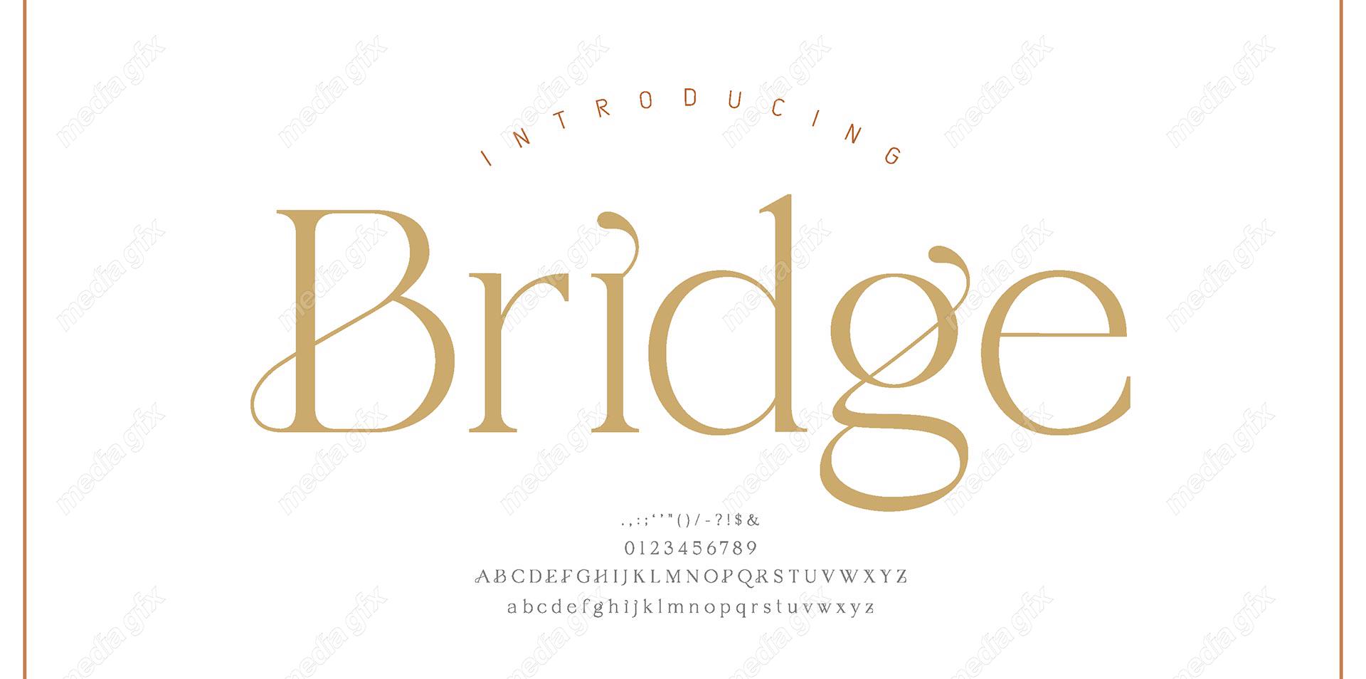 تایپ فیس  فونت سریف Bridge برای ایلاستریتور MV000605