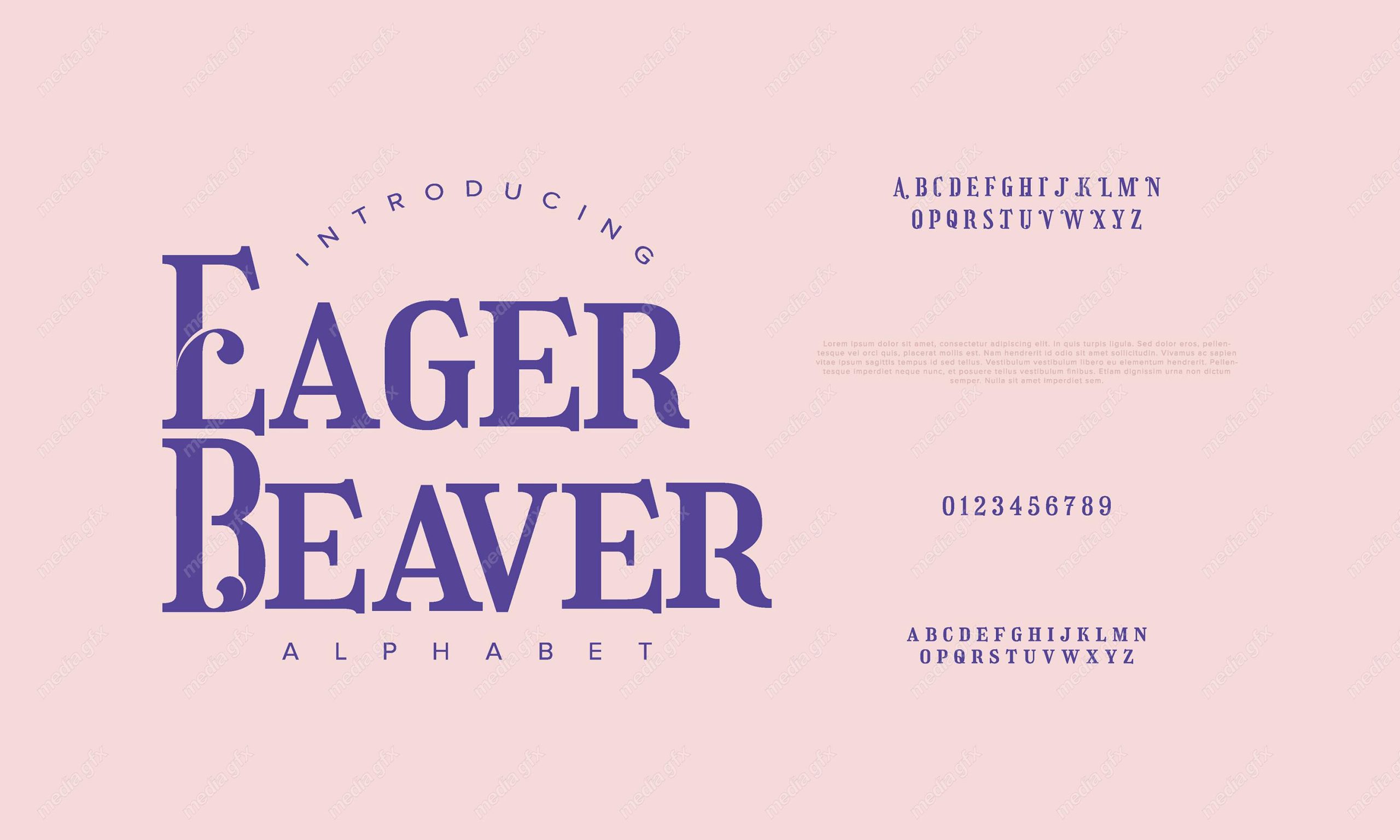 تایپ فیس  فونت سریف Eager Beaver برای ایلاستریتور MV000612