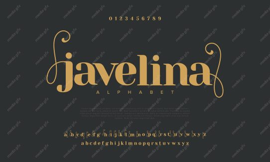 تایپ فیس  فونت سریف Javelina برای ایلاستریتور MV000630