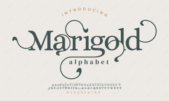 تایپ فیس فونت سریف Marigold برای ایلاستریتور MV000635