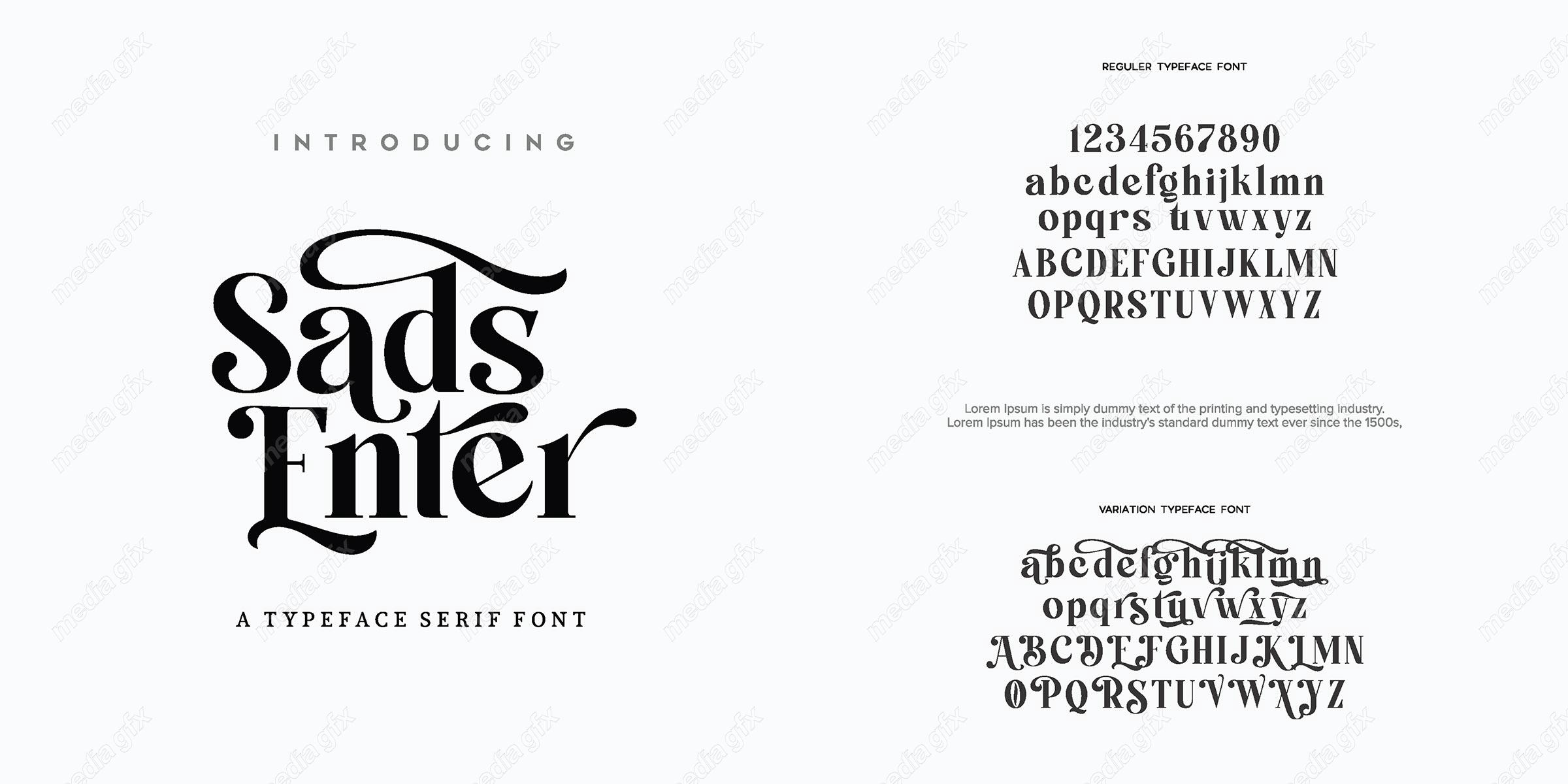 تایپ فیس  فونت سریف Sads Enter برای ایلاستریتور MV000646