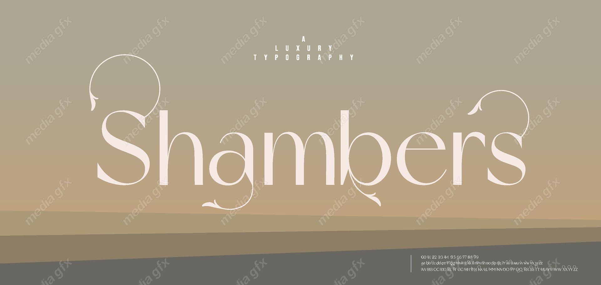 تایپ فیس  فونت سریف Shambers برای ایلاستریتور MV000650