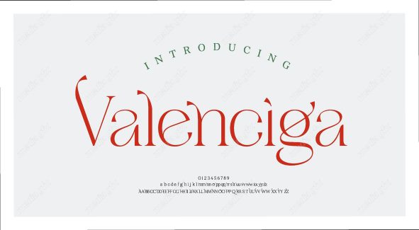 تایپ فیس  فونت سریف Valenciga برای ایلاستریتور MV000653