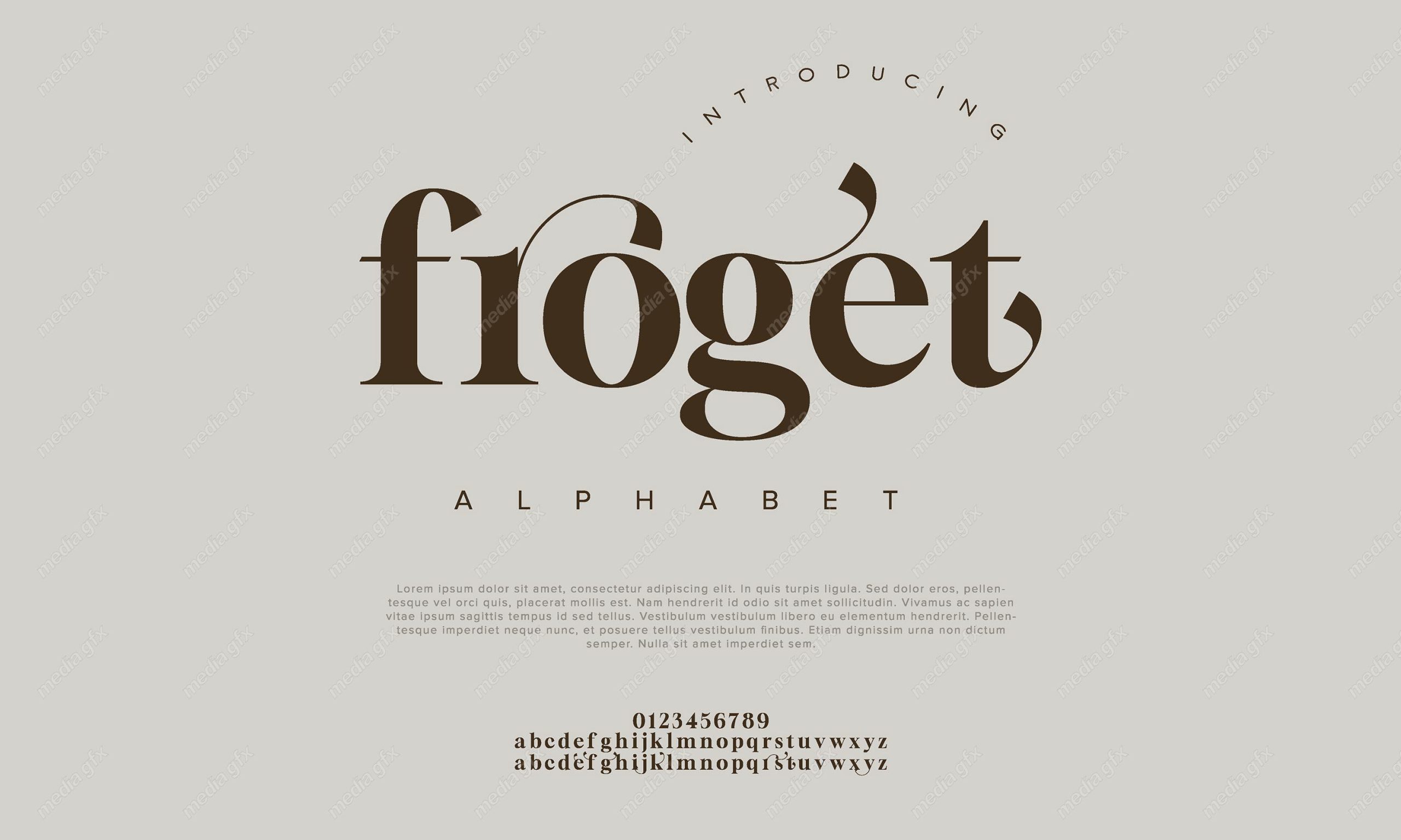 تایپ فیس  فونت سریف forget برای ایلاستریتور MV000620