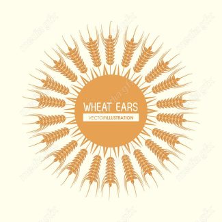 وکتور خوشه گندم طلایی MV000662