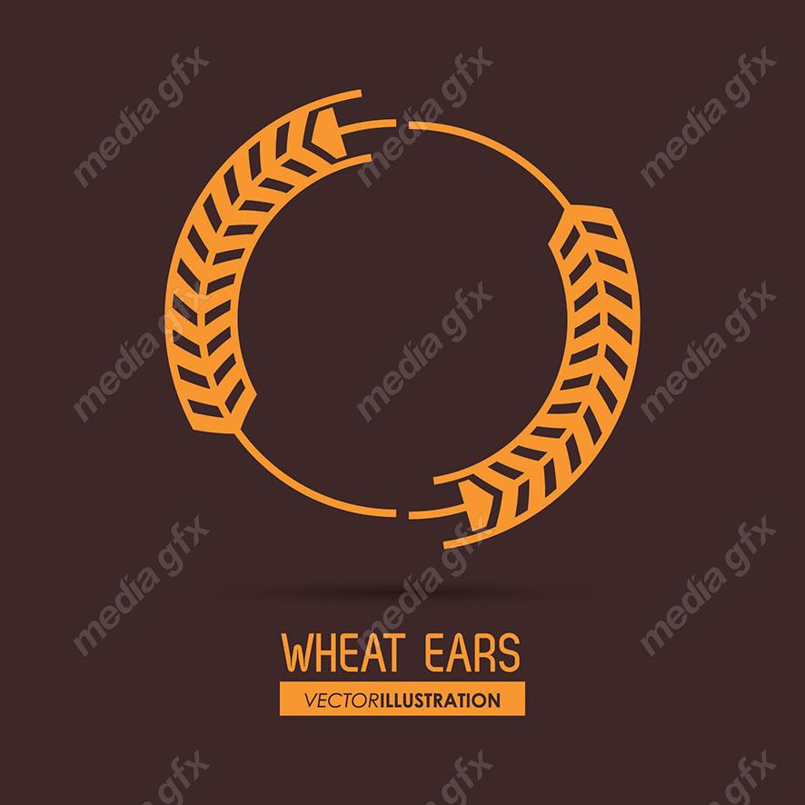 وکتور خوشه گندم طلایی MV000670