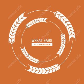 وکتور خوشه گندم طلایی MV000675