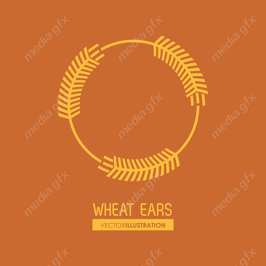 وکتور خوشه گندم طلایی MV000676