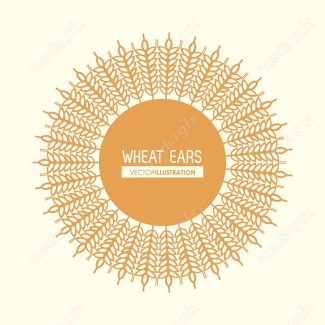 وکتور خوشه گندم طلایی MV000677