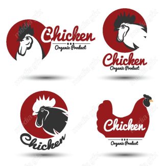 وکتور لوگو و لیبل مرغ و خروس MV002211