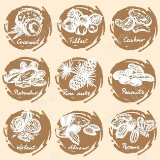 دانلود رایگان وکتور خطی آجیل و خشکبار MV002213