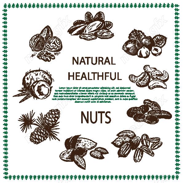 دانلود رایگان وکتور خطی آجیل و خشکبار MV002214