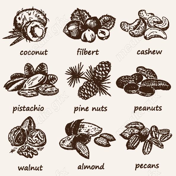 دانلود رایگان وکتور خطی آجیل و خشکبار MV002215