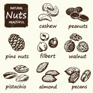 دانلود رایگان وکتور خطی آجیل و خشکبار MV002217