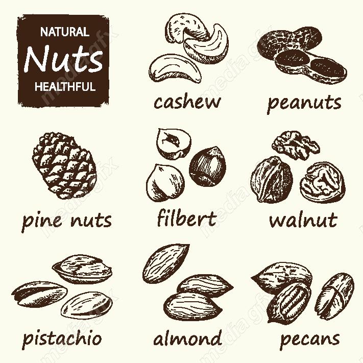 دانلود رایگان وکتور خطی آجیل و خشکبار MV002217