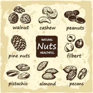 دانلود رایگان وکتور خطی آجیل و خشکبار MV002218