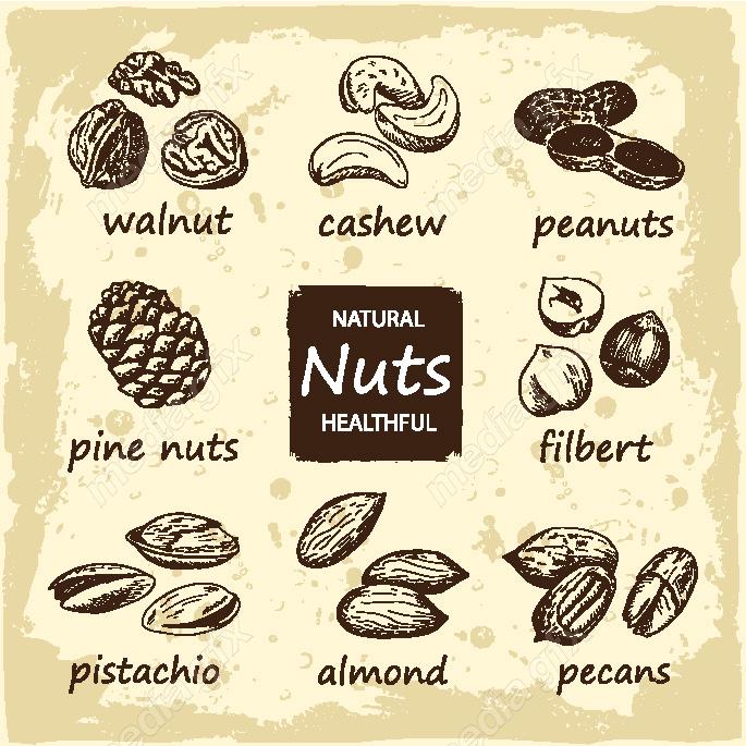 دانلود رایگان وکتور خطی آجیل و خشکبار MV002218