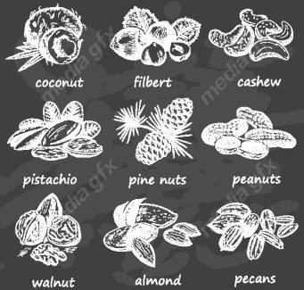 دانلود رایگان وکتور خطی آجیل و خشکبار MV002219