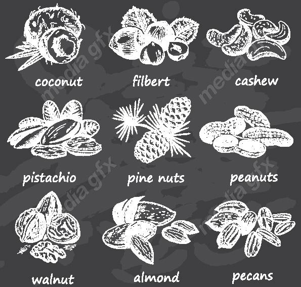 دانلود رایگان وکتور خطی آجیل و خشکبار MV002219