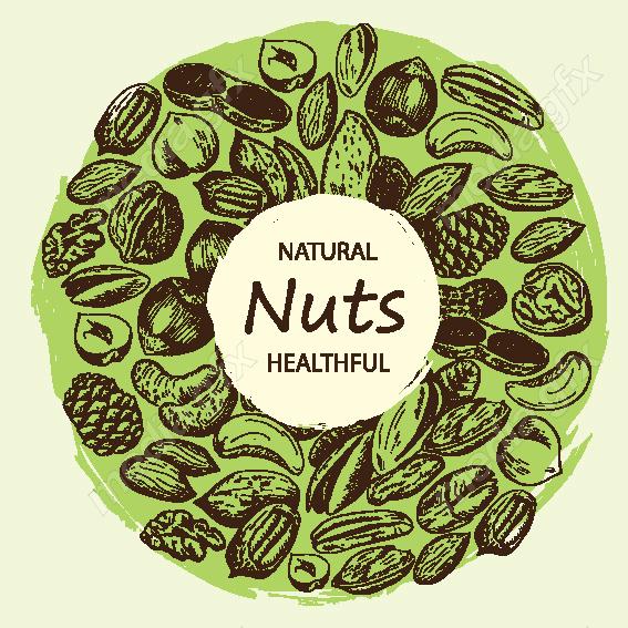 دانلود رایگان وکتور خطی آجیل و خشکبار MV002220