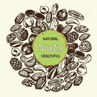 دانلود رایگان وکتور خطی آجیل و خشکبار MV002221