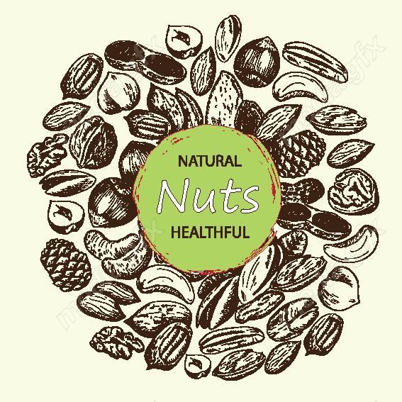 دانلود رایگان وکتور خطی آجیل و خشکبار MV002221