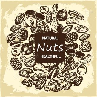 دانلود رایگان وکتور خطی آجیل و خشکبار MV002222