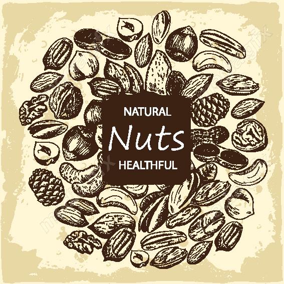 دانلود رایگان وکتور خطی آجیل و خشکبار MV002222