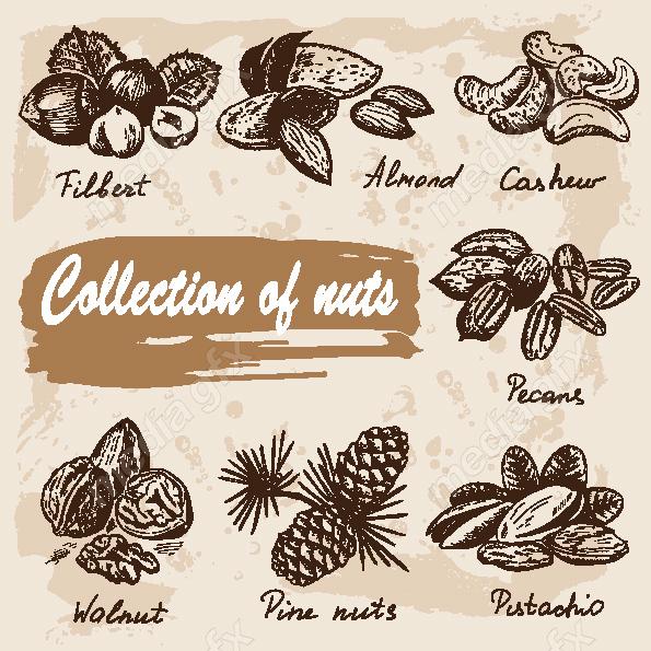 دانلود رایگان وکتور خطی آجیل و خشکبار MV002223