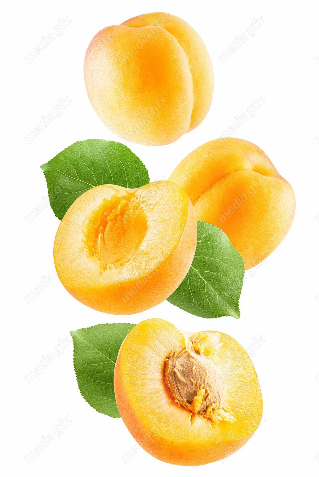 عکس با کیفیت زردآلو پس زمینه سفید MJ002266