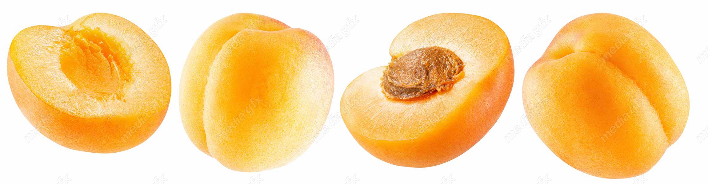 عکس با کیفیت زردآلو پس زمینه سفید MJ002270