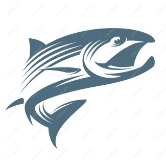دانلود رایگان وکتور ماهی MV001941