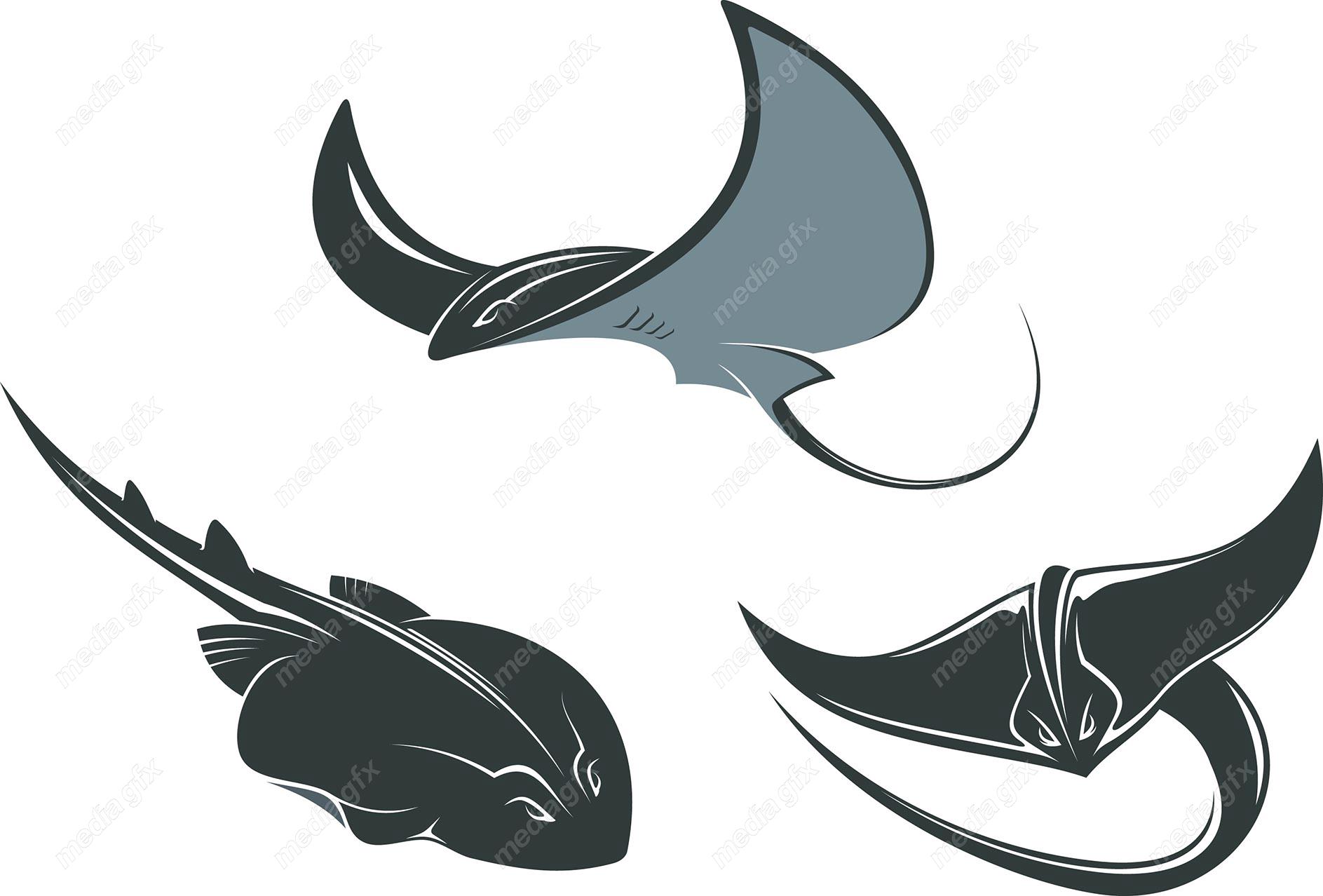 دانلود رایگان وکتور ماهی MV001958