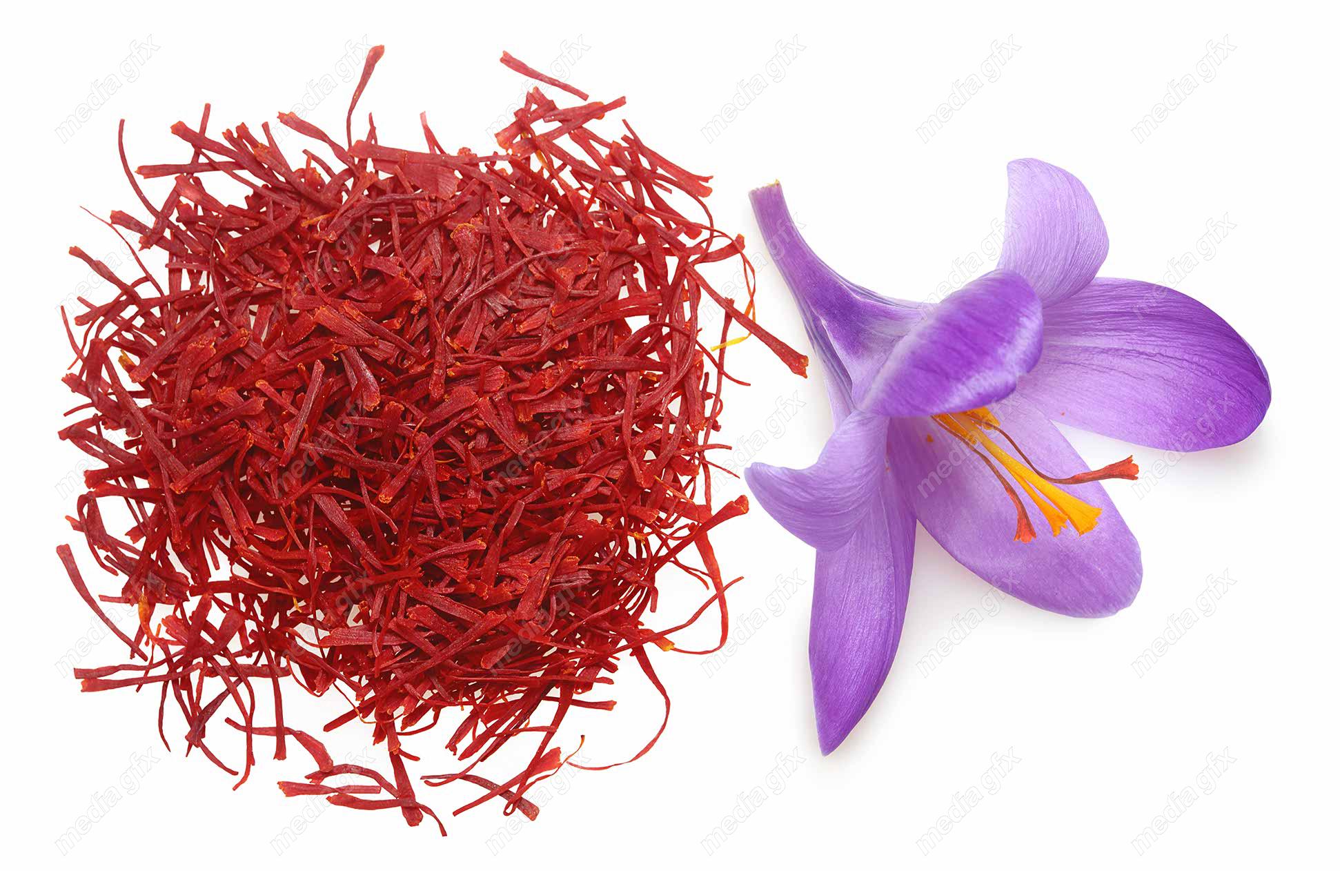 عکس با کیفیت گل زعفران پس زمینه سفید MJ002003