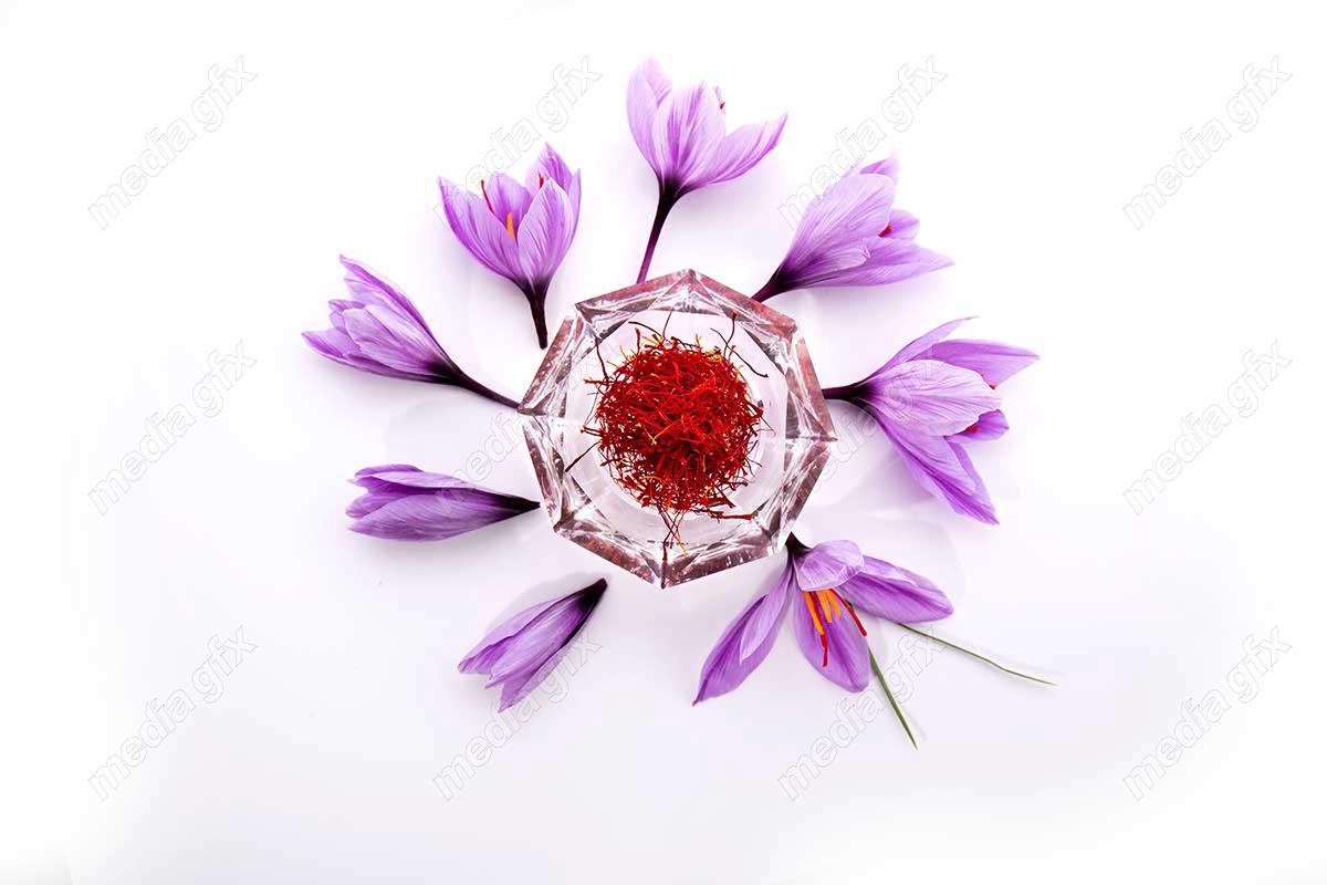 عکس با کیفیت گل زعفران پس زمینه سفید MJ002010